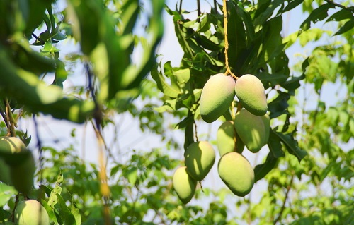 1647329592178015.jpg 2723a8fce3992ec9d2516b63edde820a_23500828_164528241000_2.jpg