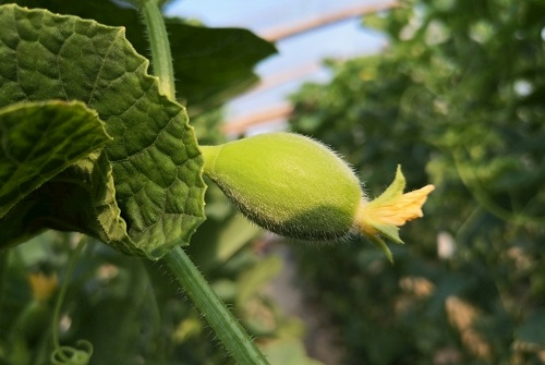 1647934493872985.png image.png