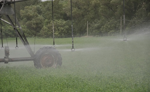 1648879837983423.png image.png