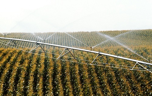 1659408789207900.png image.png