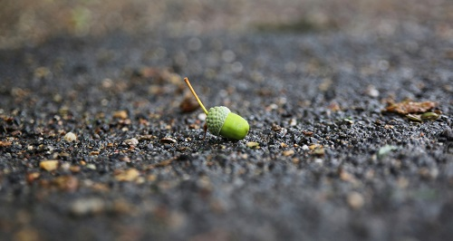 1673244780190015.png image.png